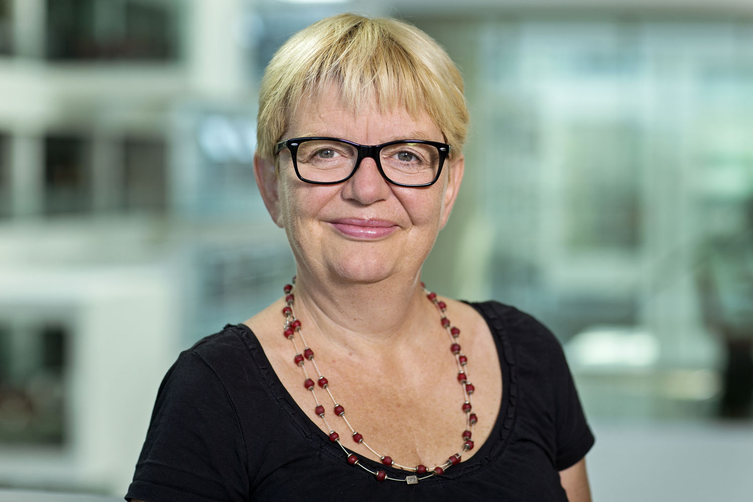 Using personas for user stories
