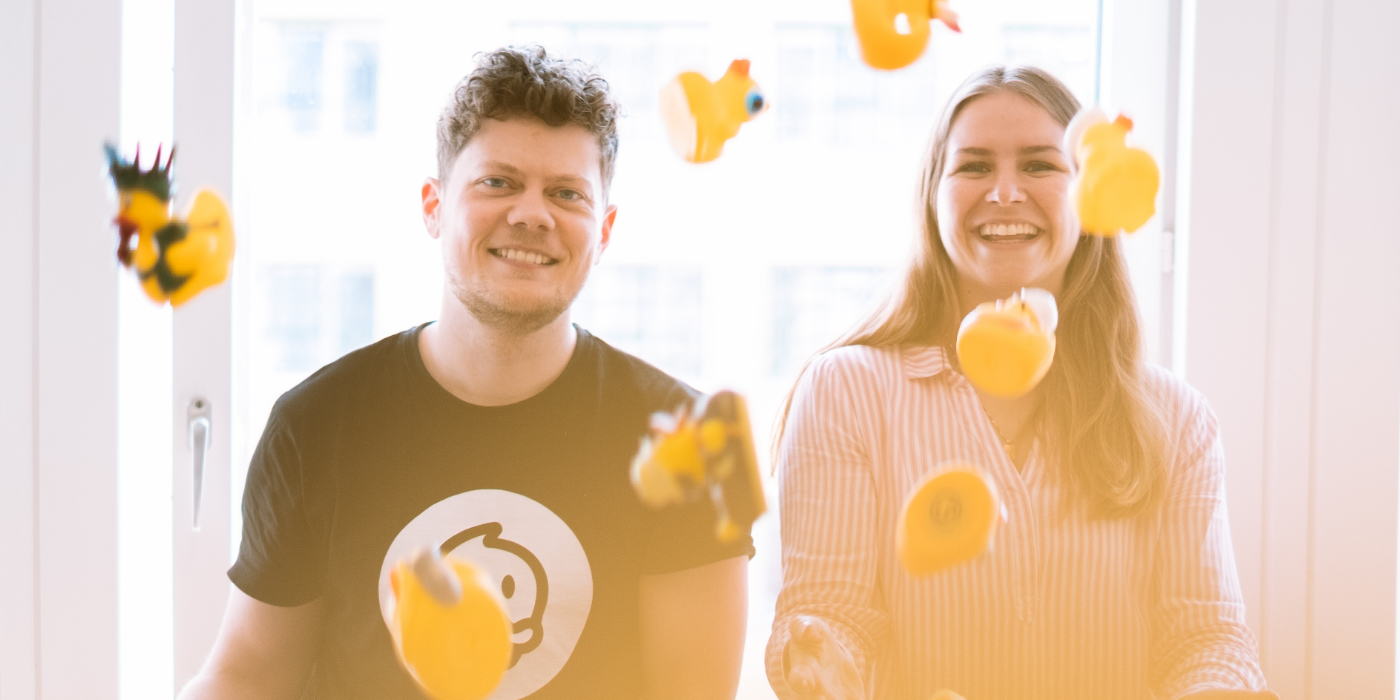 Duckwise UX design